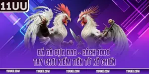Đá Gà Cựa Dao
