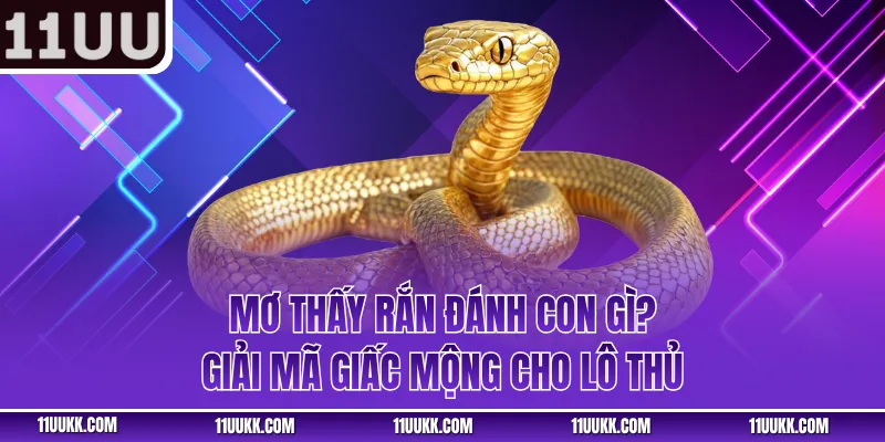 Mơ Thấy Rắn Đánh Con Gì
