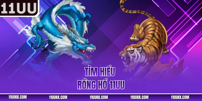 Tìm hiểu Rồng Hổ 11UU